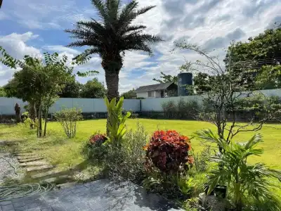 QG Resort - 50