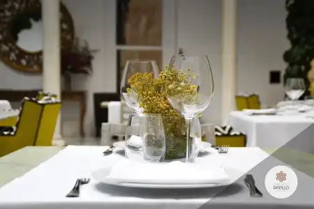 Palacio Pinello - 22