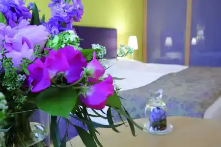 Appartement-an der Riemergasse - 75