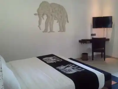 Aliya Resort & Spa - 42