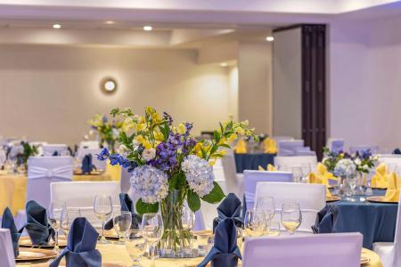 Sheraton Suites Old Town Alexandria - 38