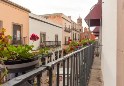 Hidalgo - 73