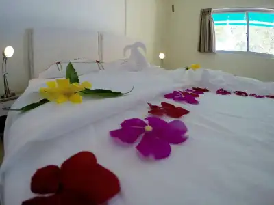 Luau Beach Inn - 5