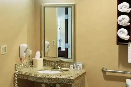 Hampton Inn & Suites Abilene I-20 - 51