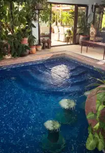 Dallas Residence - 12