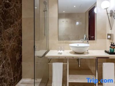 Crowne Plaza PORTO by IHG - 185