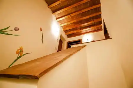 Gatto Bianco Tizzauli - 12