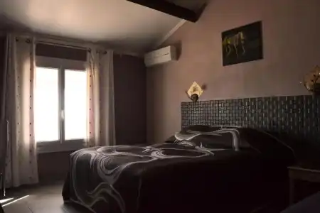 Hôtel Le Dauphin Bleu - 25
