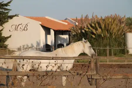 Hôtel Mas des Barres - 23