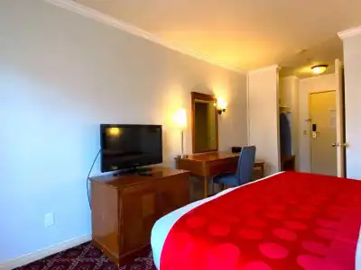 Ramada by Wyndham Los Angeles/Koreatown West - 15