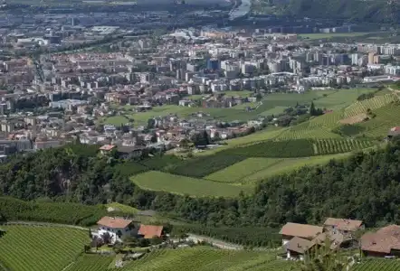 Tollhof - 11
