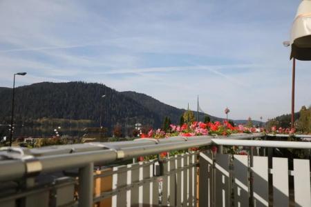 Hôtel la Réserve - 86