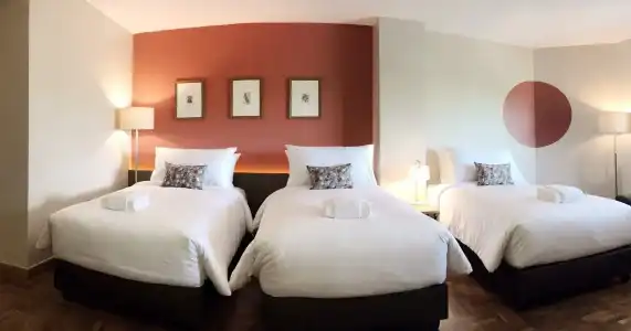 The Raintree Chiangmai - 12