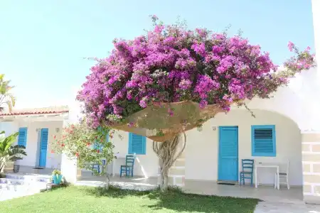 Antichi Mulini - 58
