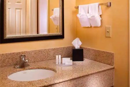Courtyard by Marriott Baton Rouge Acadian Centre/LSU Area - 8