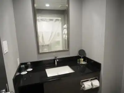 Hôtel & Suites le Dauphin Québec - 81