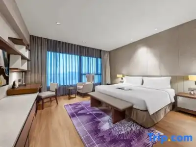 Ascott Raffles City Chengdu - 171