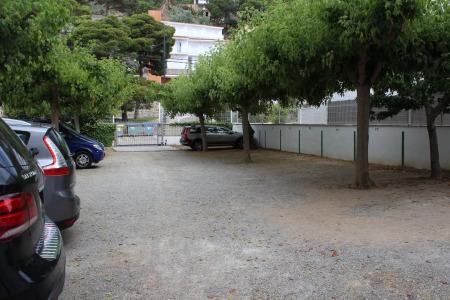 Checkin Flamingo - 21