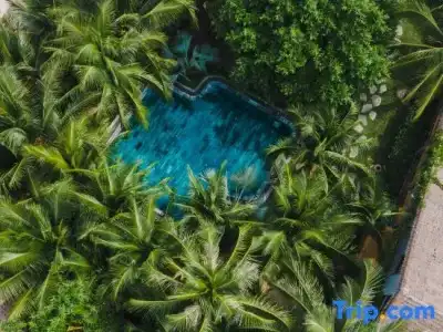 M Village Phu Quoc - 58