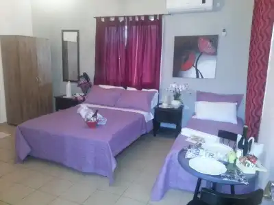 Loui Gardens - 2