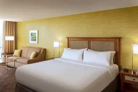 Holiday Inn AUSTIN-TOWN LAKE by IHG - 30