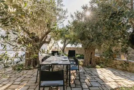 Rochari - 49