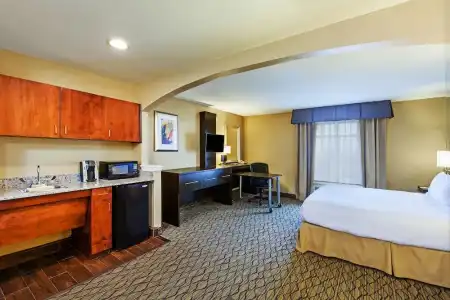 Best Western Premier Houston Downtown/Convention Center - 79