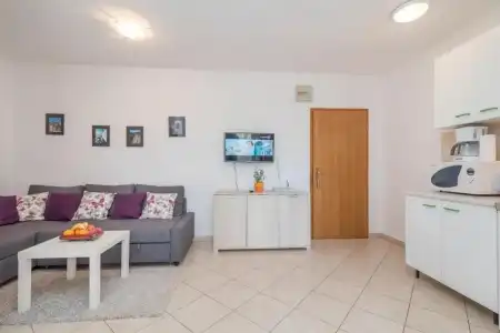 Apartments Vojin - 96