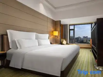 Pullman Dongguan Changan - 98