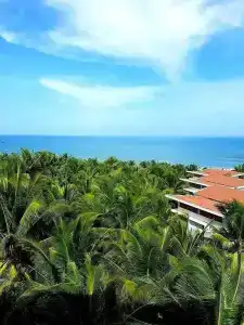 Sonata Resort & Spa - 64
