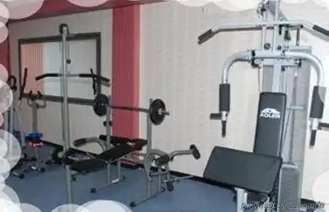 Sahiner - 9
