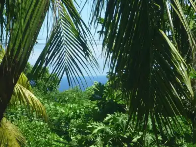 Maison Soleil - 32