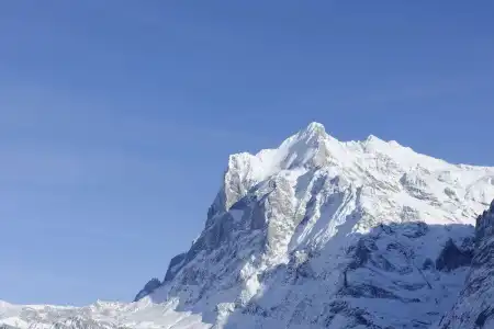 Aspen alpin lifestyle Grindelwald - 137