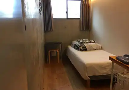 Kangaroo - 10