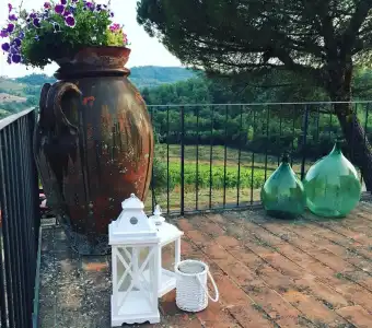 Podere Terreno alla Via della Volpaia - 14