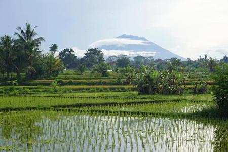 Santun Luxury Private Villa - 106