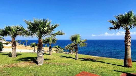 Stella Beach - 5