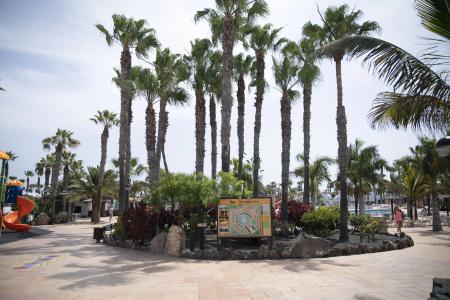 Oasis Duna Apartments - 31