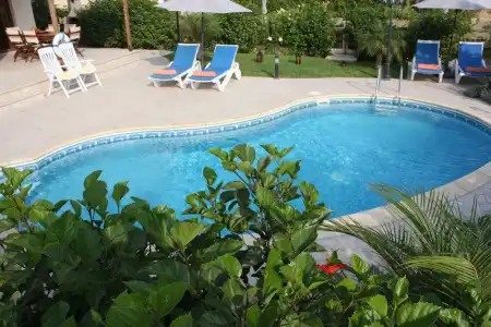 Vineland Bay Villas - 49