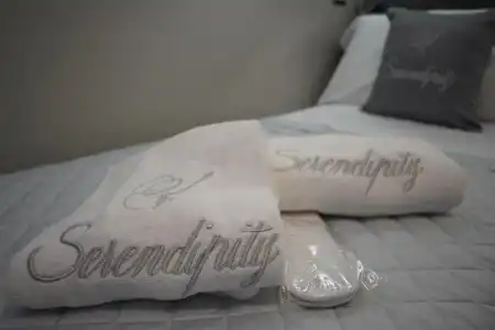 Serendipity B&B - 35