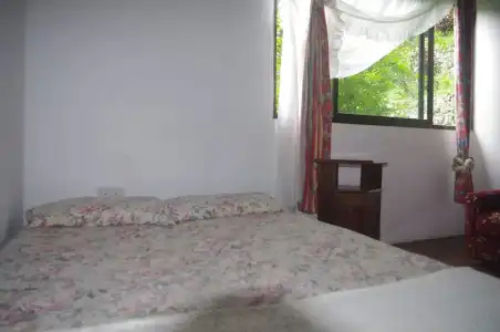 Papaya Guesthouse - 66
