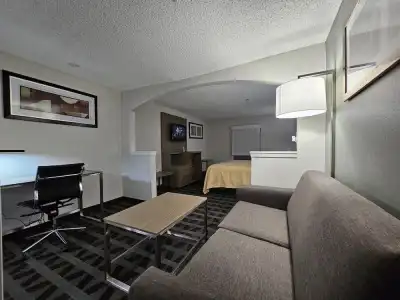 Quality Inn & Suites Irving DFW Airport South - 39