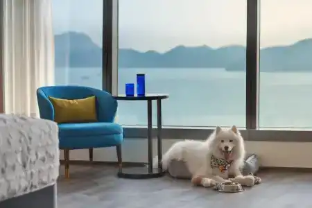 Le Méridien Hong Kong, Cyberport - 62