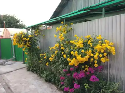 Dos Guesthouse - 4