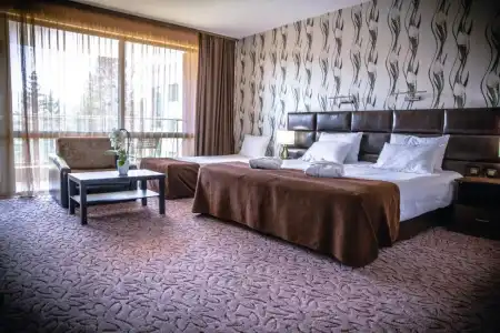 Zdravets Spa - 59