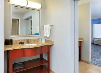 Hampton Inn & Suites Dallas-Arlington-South - 78