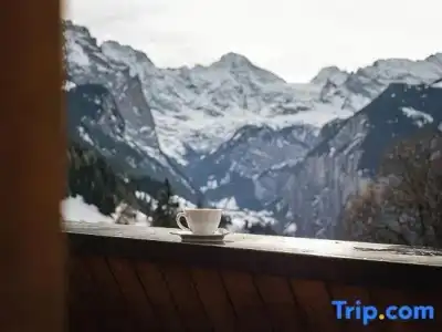 and Spa Silberhorn - 131