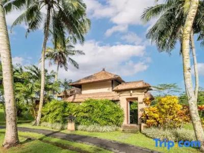 Villa Semana Resort & Spa - 192