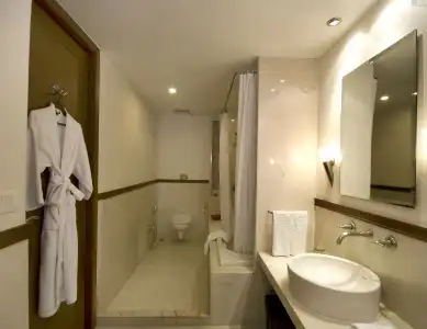 Vedic Village Spa Resort - 9