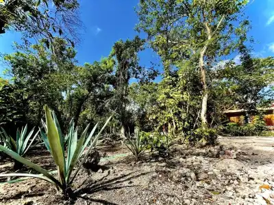 Tequila Cancun - 7
